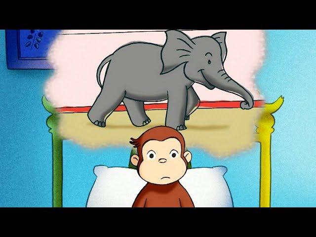 Curious George The Elephant Upstairs Full Episode  HD  Cartoons For Children