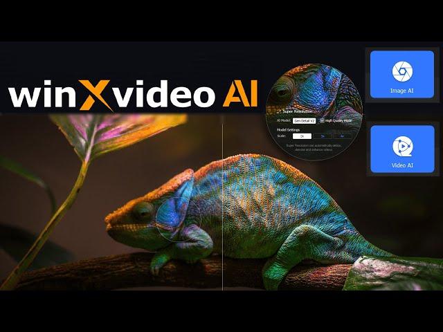 How to upscale 720p to 4K   WinX AI video enhancer