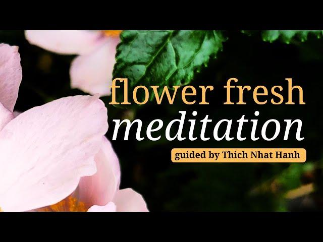 Flower Fresh Meditation | Guided by Thich Nhat Hanh | #mindfulness