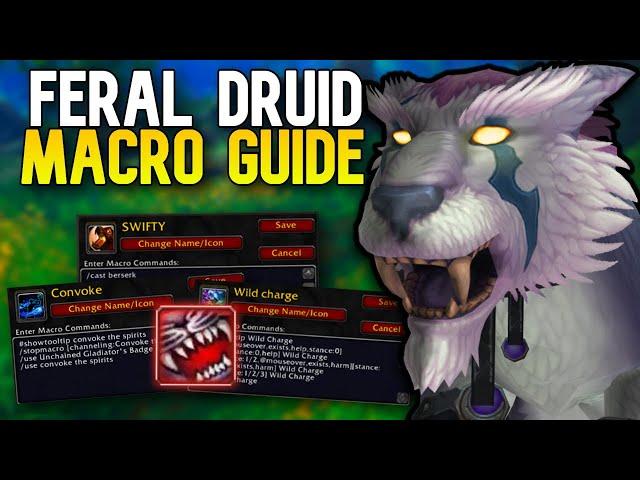 Rank 1 Feral Druid Macro Guide | WoW Arena