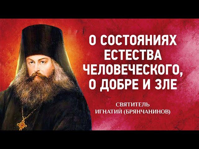 18 О состояниях естества человеческого, о добре и зле — Аскетические опыты Т2 — Игнатий Брянчанинов