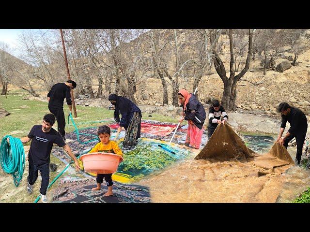 New Year Preparations: Amir's Family Cleans and Celebrates Together!