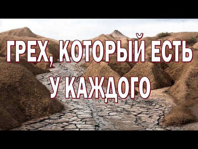 Грех, который есть у каждого. Ковалев Степан Леонидович.