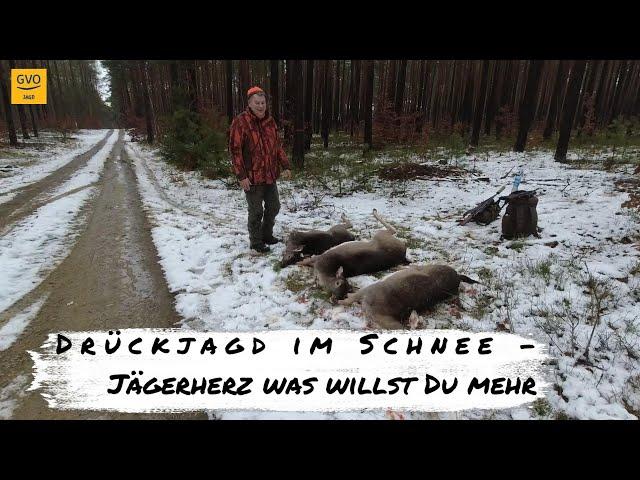 Letzte Drückjagd des Jagdjahres 2024/2025 - Wir hatten beide Waidmannsheil!