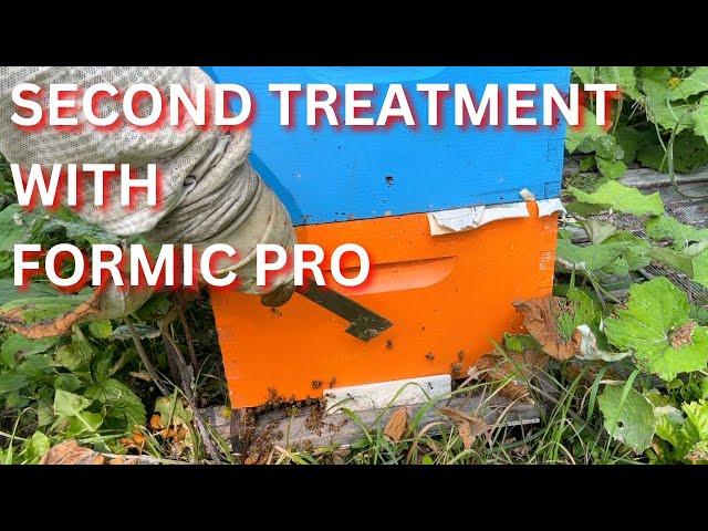 Second treatment with Formic Pro