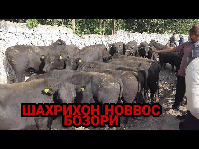 АНДИЖОН ШАХРИХОН ЧУЖА МОЛ БОЗОРИ НОВВОСЛАР НАРХЛАРИ 2021 ANDIJON SHAXRIHON CHÒJA MOL BOZORI NARXLARI