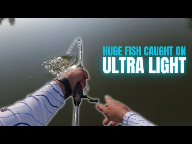 I CAUGHT a GIANT FISH on this ULTRA LIGHT SETUP !!