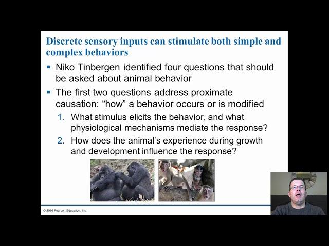 Chapter 39   Animal Behavior