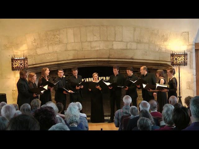 Stile Antico sings Byrd's 'Tristitia et anxietas'