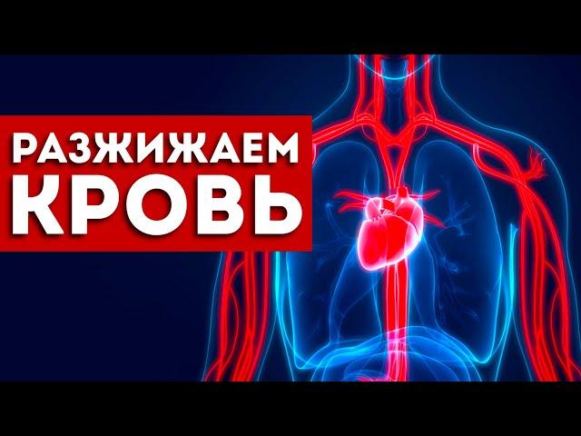 Густая Кровь: 7 Простых Способов Разжижения. (Проверено Работает)