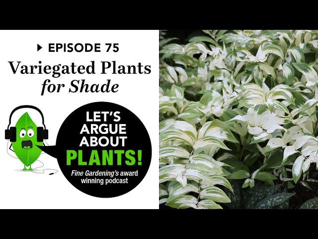 Episode 75: Variegated for Shade