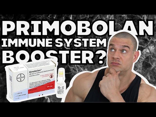 Primobolan & The Immune System | Does Primo Boost White Blood Cell Count ? |  Vigorous PEDs