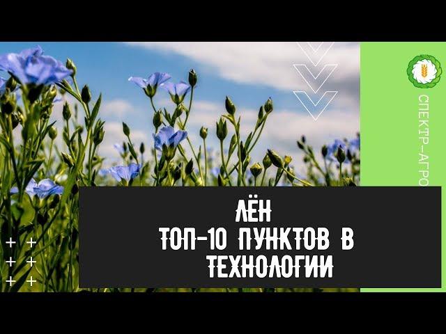 Лён. ТОП-10 пунктов в технологии выращивания льна