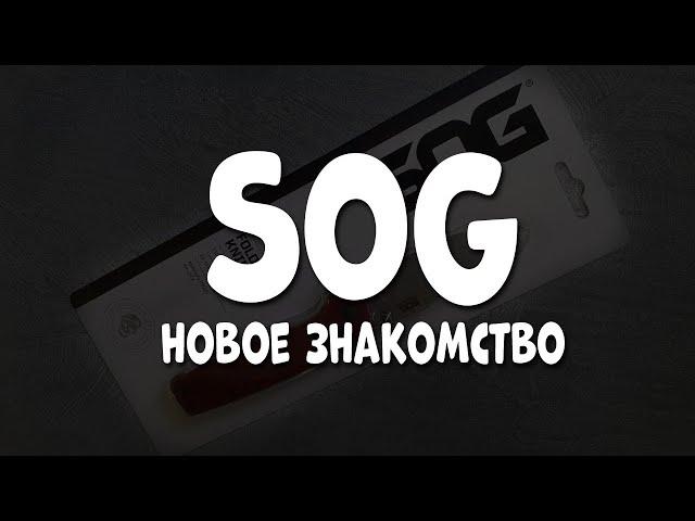 SOG желает познакомиться