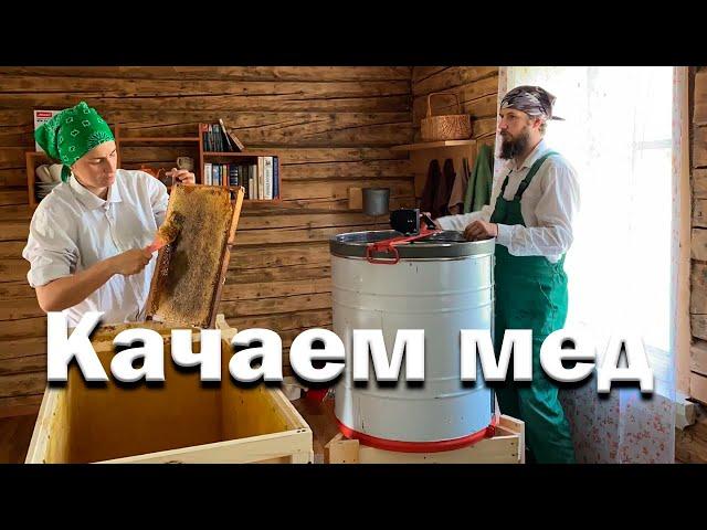 Начинаем качать мед // Пчеловодный сезон 2022 год