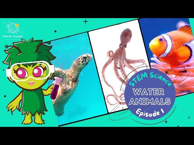 Water Animals Ep1 | Science for Kids | STEM Home Learning