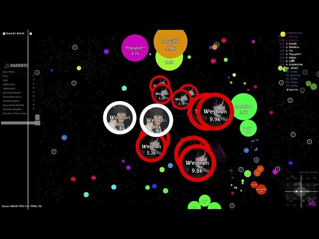 Agar.io - takeover w/agarbotOVH