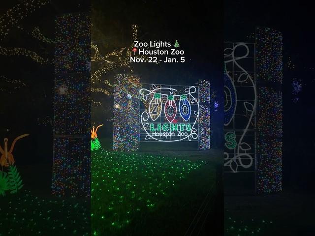 Houston Zoo Lights 2024  #houston #houstonzoo #zoolights #thingstodoinhouston