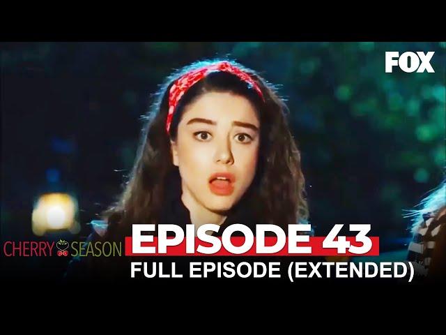 Cherry Season Episode 43 (Extended Version)