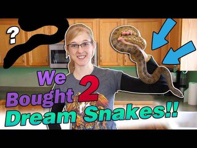 WE BOUGHT AN ANACONDA!!