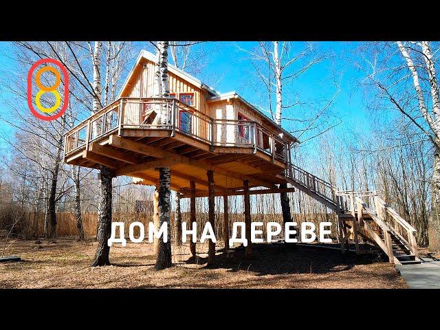 A huge tree house - two floors above the ground!