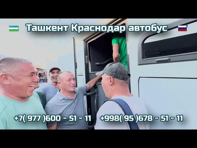 32) Ташкент-Краснодар автобус | Краснодар-Ташкент автобус | Krasnodar -Toshkent | Toshkent-Krasnodar