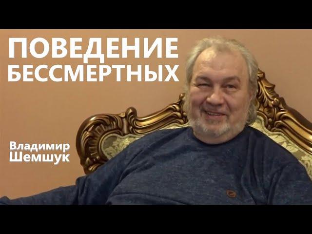 Поведение Бессмертных. Владимир Шемшук