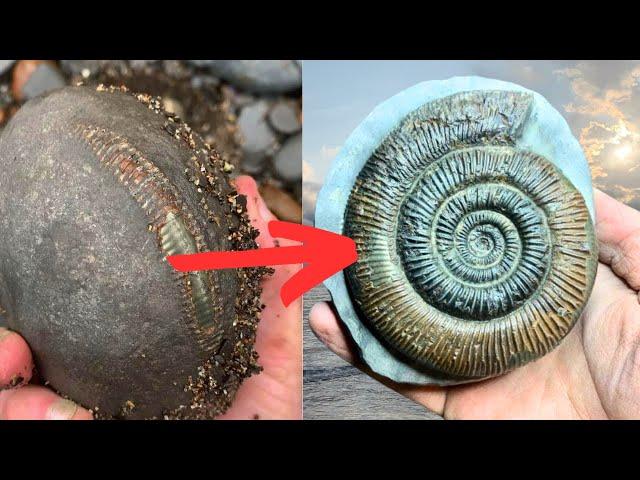 How I Prepare Fossils - Amazing Ammonite Transformation