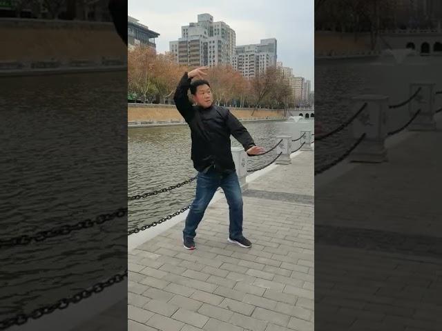 Chop-Punch Yiquan