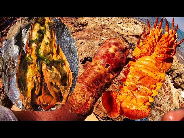 THE BIGGEST SLIPPER LOBSTER EVER!!! Catch Clean and Cook | Youtubers linkup