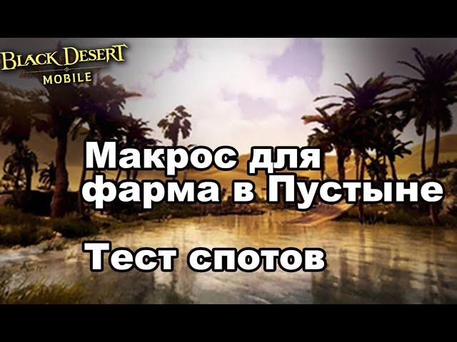 БДМ: Макрос для фарма и тесты спотов в Великой пустыне в Black Desert Mobile