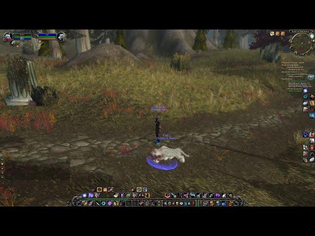 How to Summon / Tame Ghost Saber, WoW Classic / WoW SoD  Hunter Pet (2.0 Attack Speed Cat)