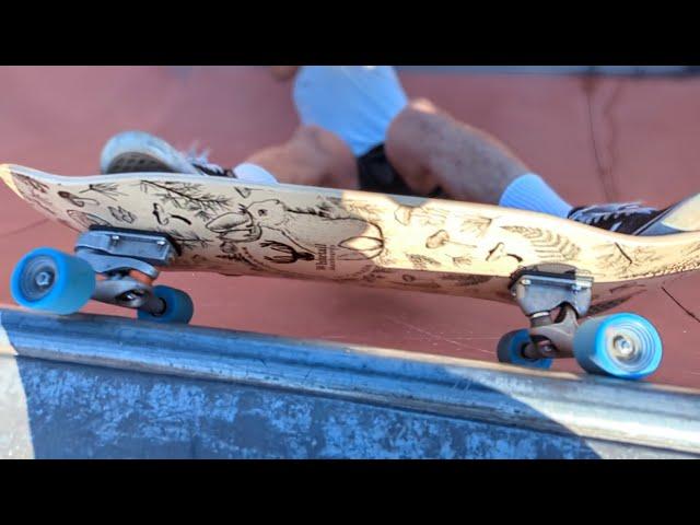 Whitetail Whaleshark deck | surfskate review