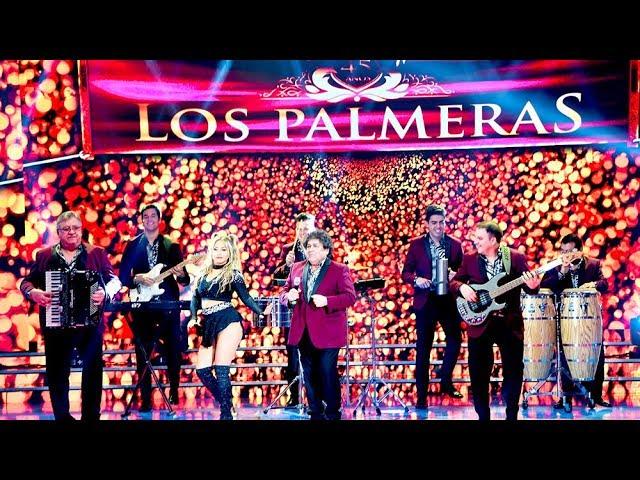 Los Palmeras cantaron "Bombón asesino" y se armó la fiesta en la pista de Showmatch