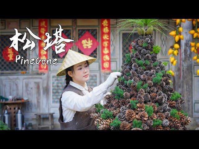 Wild Falling Pine Nuts from Yunnan – A Rare Mountain Delicacy【滇西小哥】