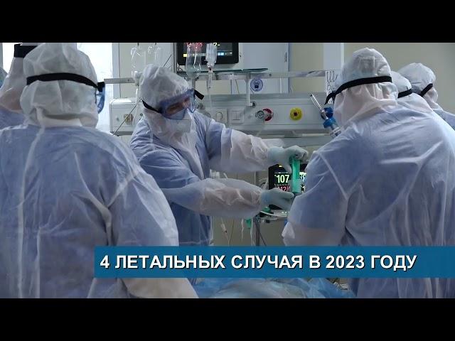 На преступника вывели ДНК-следы...//4 летальных случая в 2023 году//Истории двух воровок - Абакан 24