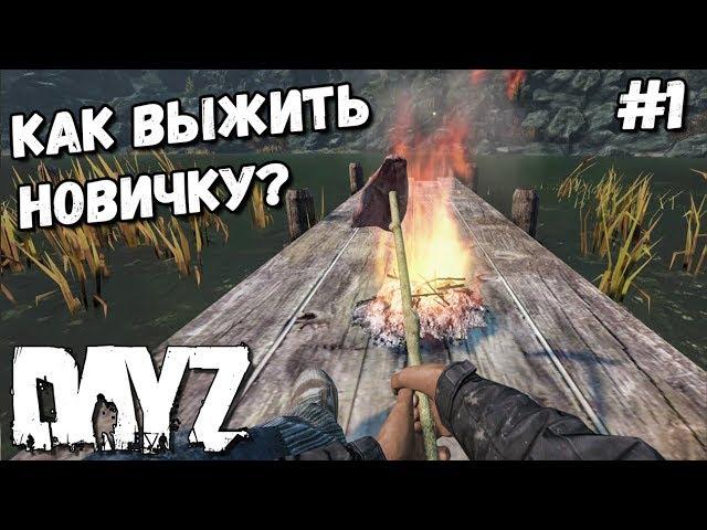 КАК ВЫЖИТЬ НОВИЧКУ В DAYZ В 2020? #1 КАК ДОБЫТЬ ЕДУ И ВОДУ