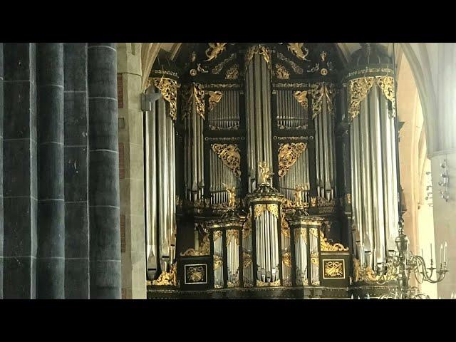 J.S. Bach - Pièce d'orgue BWV 572 - Patrick Rice