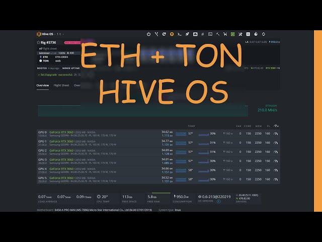 ETH + TON HIVE OS Настройка