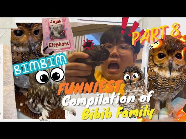 Funniest Compilation of Bibib Family Part 8 - Kompilasi Video Terlucu Bibib Family Part 8