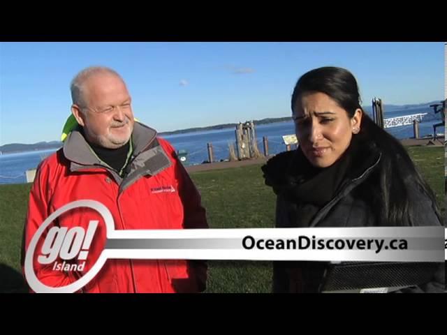 "go! Island" Discovers More About Our Oceans - Shaw TV Victoria