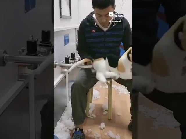 Обезьяна трогает за яйца мужика