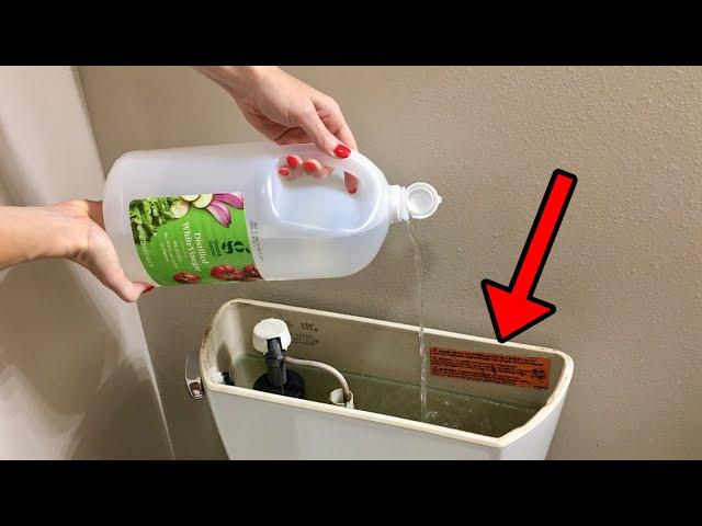 I put vinegar in my mom’s toilet, WATCH WHAT HAPPENS!