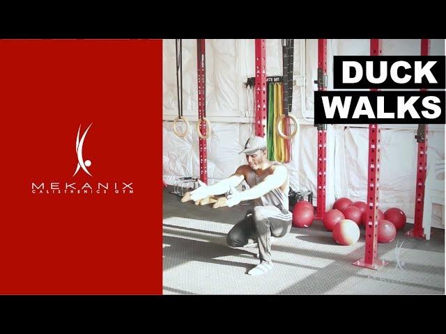 Duck Walks Beginner Exercise - Primal Workout