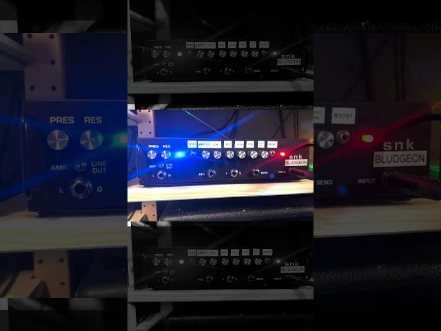 Comparing 3 amp from SNK Pedals #snkpedals #vh300 #rg300es #bludgeon