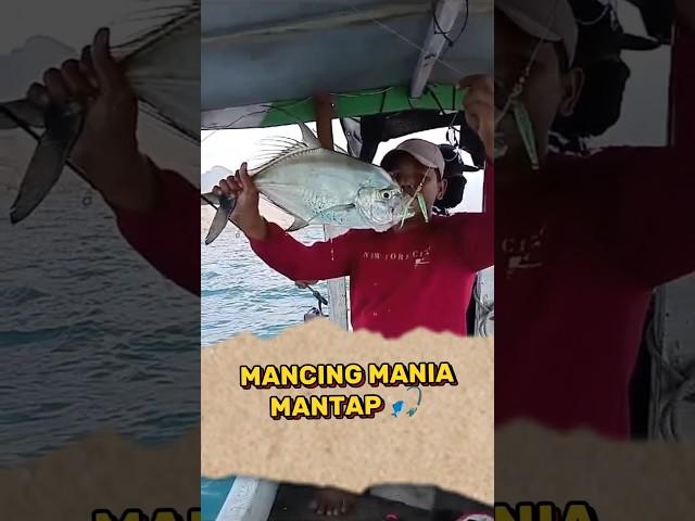 Review Mancing Ikan Ini, Mantap Betul Tarikan nya. #shorts #hobimancing #mancing