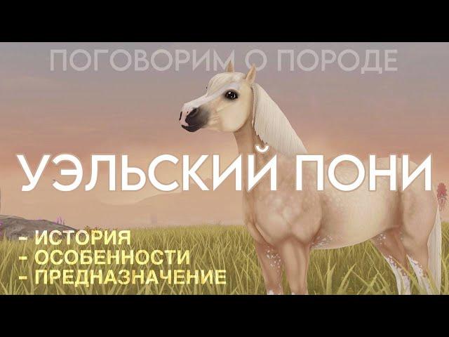 О ПОРОДЕ УЭЛЬСКИЙ ПОНИ (ВАЛИЙСКИЙ) / STAR STABLE ONLINE