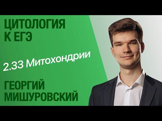 2.33. Митохондрии | Цитология к ЕГЭ | Георгий Мишуровский