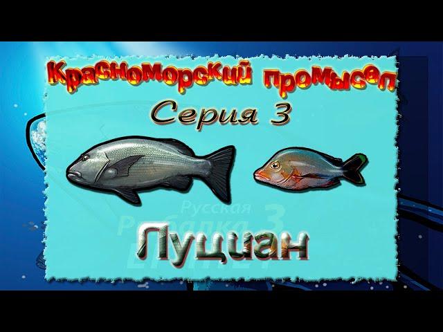 Русская Рыбалка 3.99 (Russian Fishing) Красноморский промысел 3 - Луциан