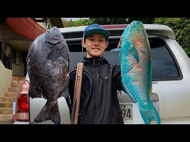 Spearfishing Deep Reef For Rare Species! | Hawaii Spearfishing